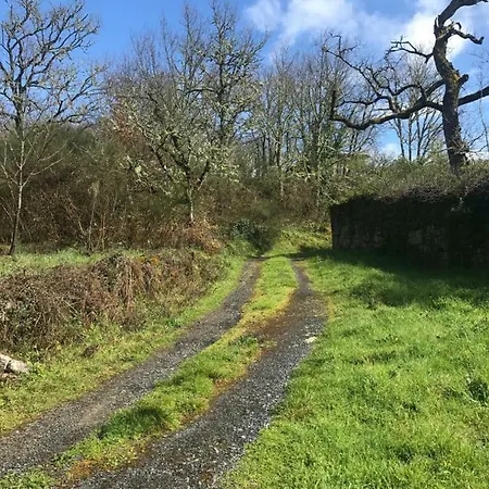 Casa De Labranza Naz 別荘 Sober