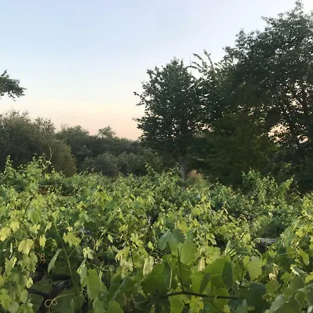 Casa De Labranza Naz Sober