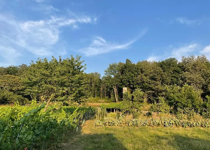 Tatil Evi Casa De Labranza Naz Sober