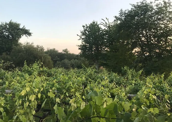 Casa De Labranza Naz Собер